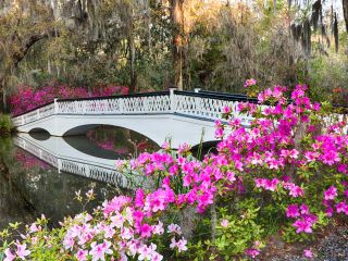 Magnolia Gardens with bridge in Charleston